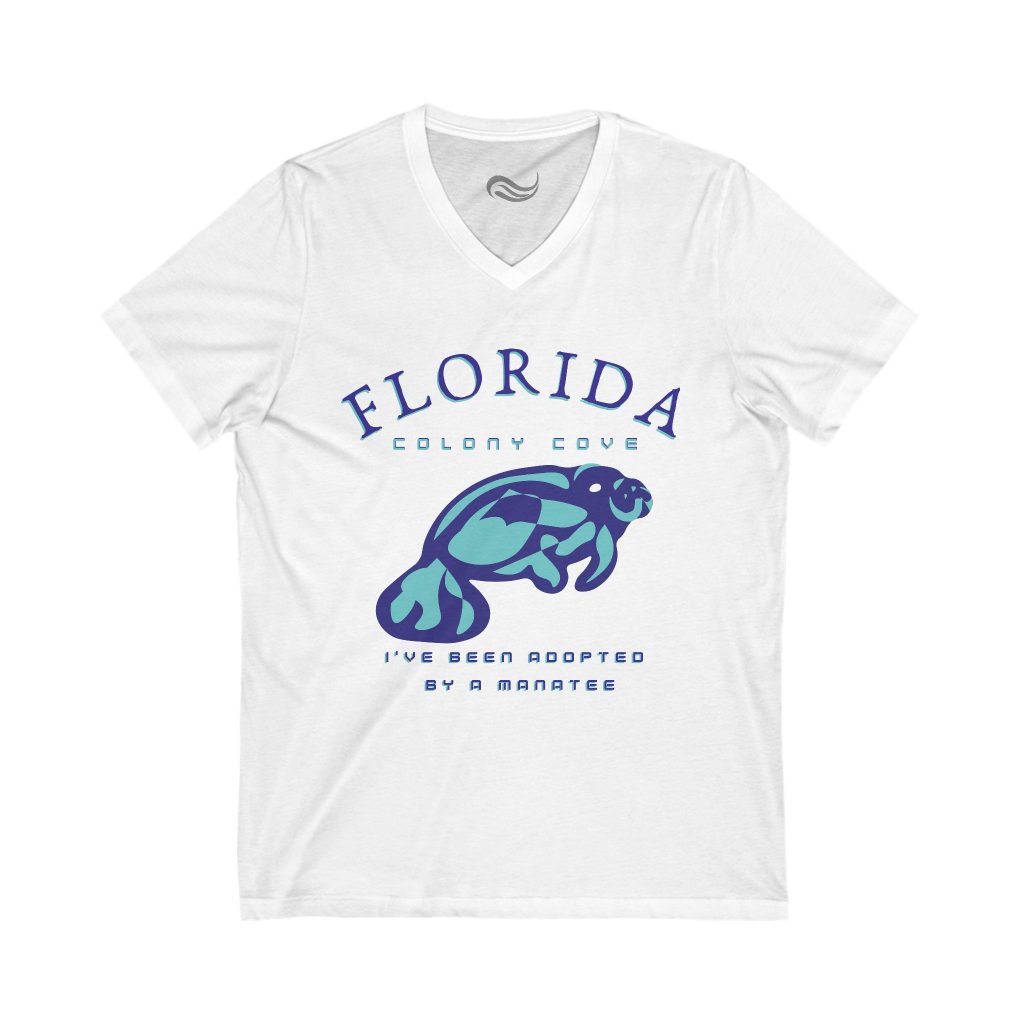 Colony Cove Unisex Jersey Short Sleeve V-Neck Tee