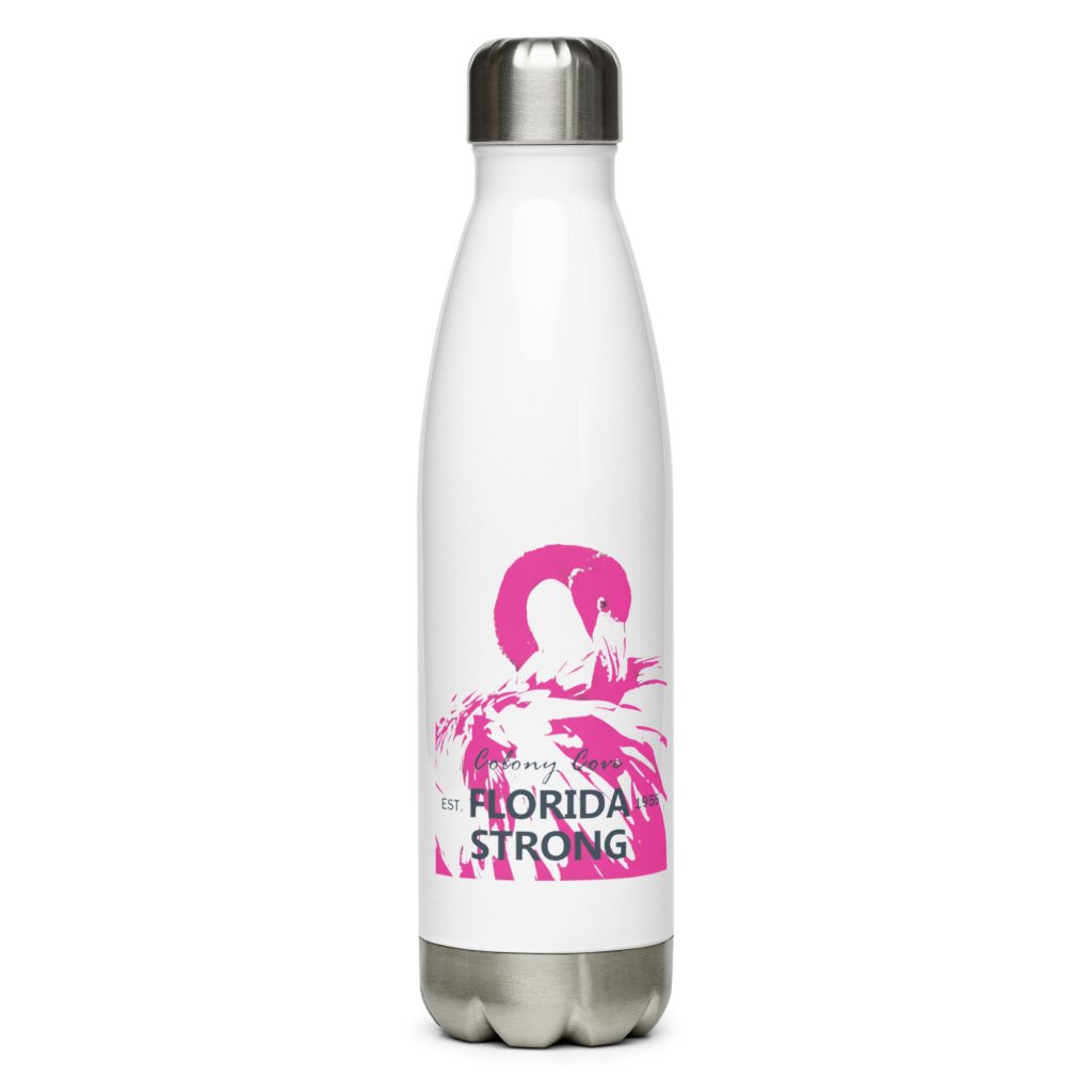 Flamingo Colony Cove Stainless Steel Water Bottle