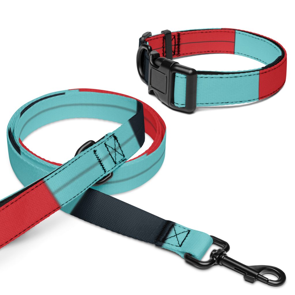 Pet collar & leash