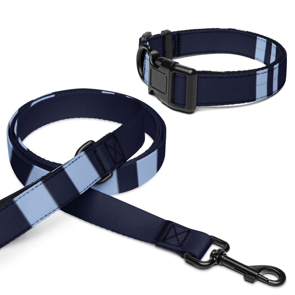 Pet collar & leash