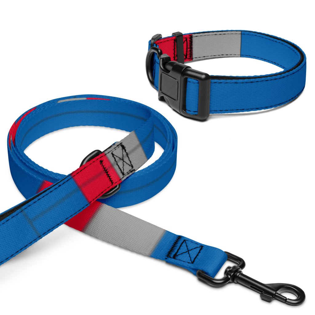 Pet collar & leash